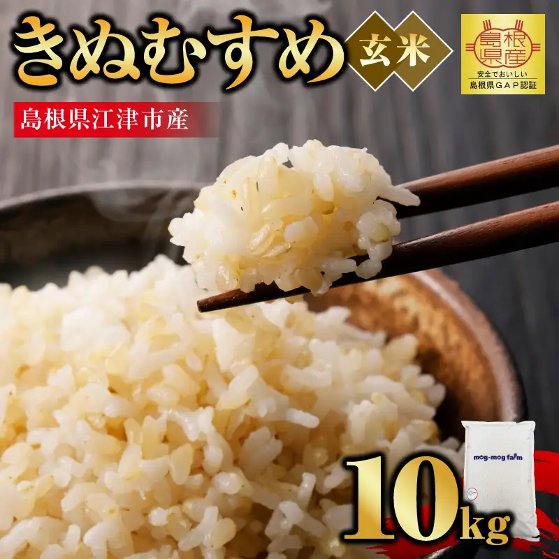 【先行予約】【R8年度産】島根県江津市 きぬむすめ 玄米 10kg MG-6 新米 お米