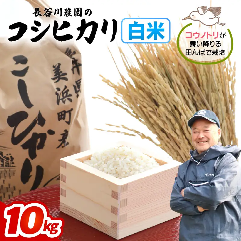 【白米】10kg コシヒカリ 令和8年産 白米【長谷川農園】 [m22-b005]