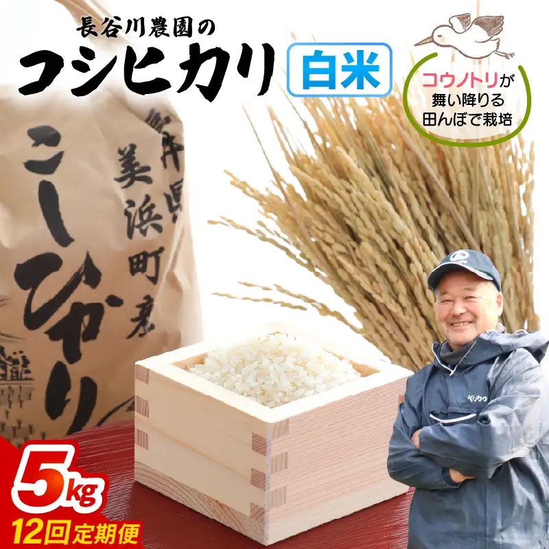 【白米】定期便 ≪12ヶ月連続お届け≫コシヒカリ 令和8年産 白米 5kg × 12回 (計60kg) 【長谷川農園】 [m22-l004]