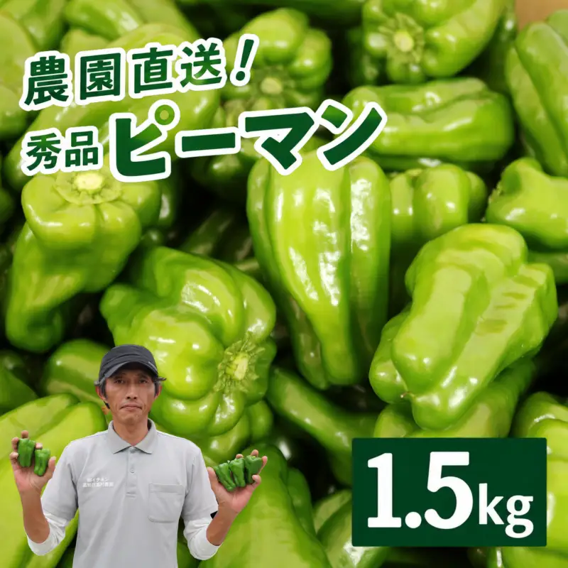 ピーマン 1.5kg 秀品 野菜 ぴーまん
