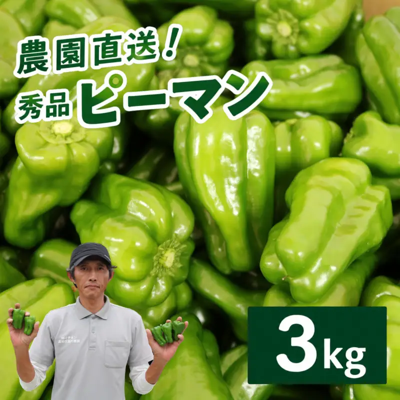 ピーマン 3kg 秀品 野菜 ぴーまん