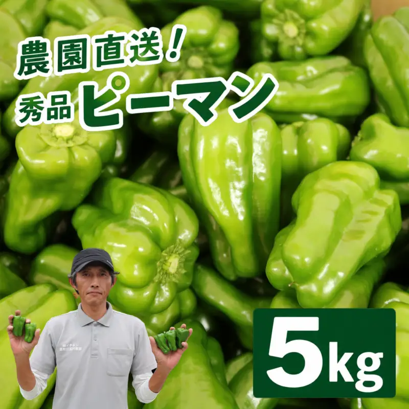 ピーマン 5kg 秀品 野菜 ぴーまん