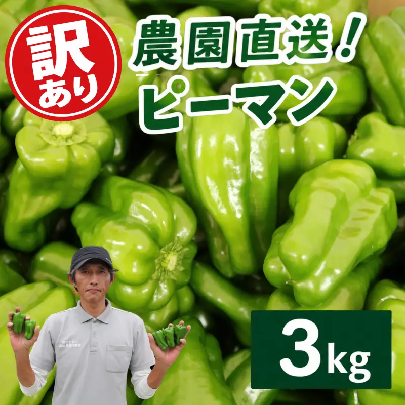 ピーマン 3kg 訳あり 野菜 ぴーまん | 高知県南国市 | ふるさと納税