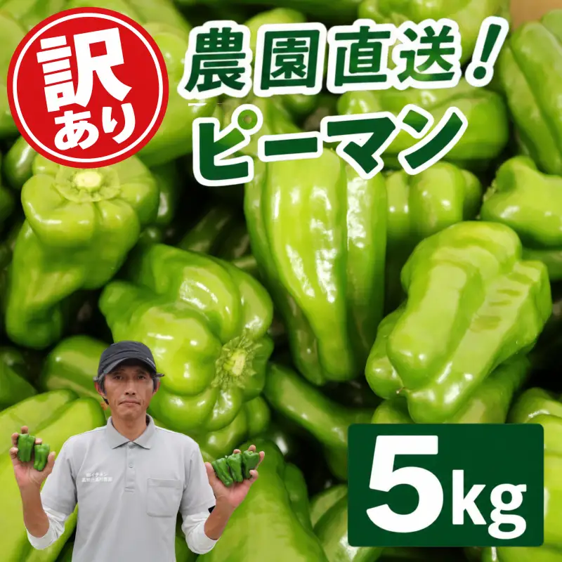 ピーマン 5kg 訳あり 野菜 ぴーまん
