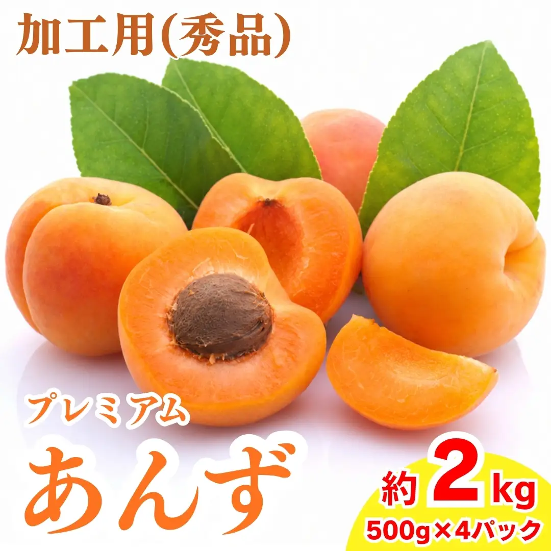 【2027年先行予約】長野県千曲市産 加工用(秀品)生あんず 約2kg | あんず