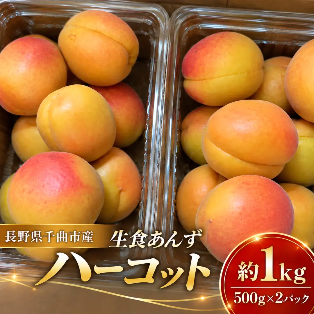 【2027年先行予約】 【数量限定】 あんず ハーコット 生食用 約1kg | あんず