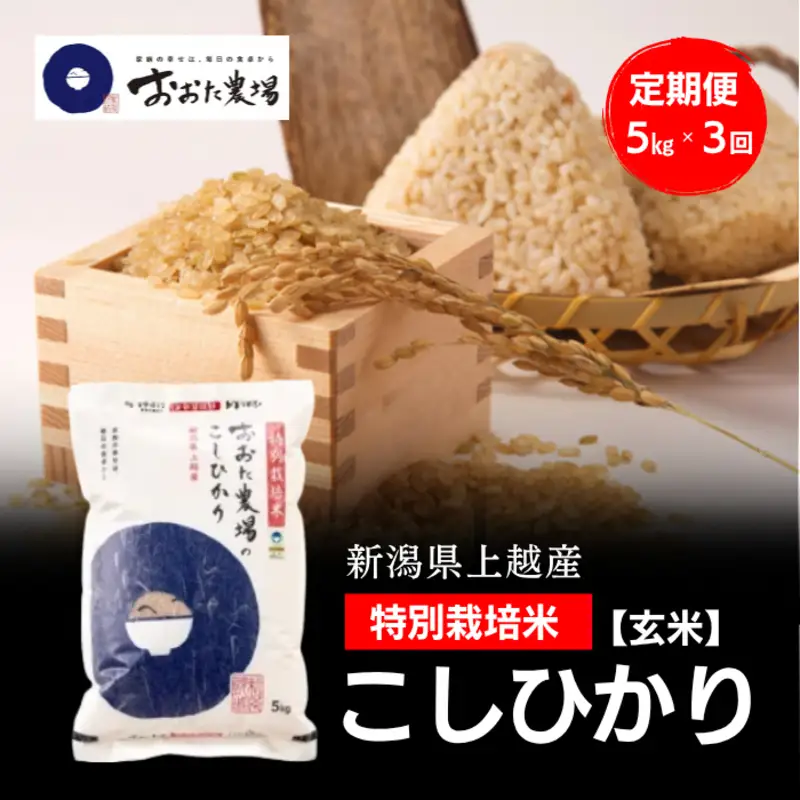 令和8年産 新潟県上越産 特別栽培米 コシヒカリ 定期便 5kg×3回 計15kg 【玄米】 従来品種 こしひかり 新米 おおた農場 上越市