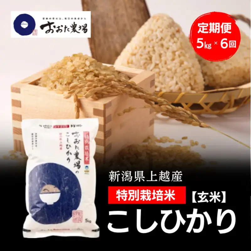 令和8年産 新潟県上越産 特別栽培米 コシヒカリ 定期便 5kg×6回 計30kg 【玄米】 従来品種 こしひかり 新米 おおた農場 上越市