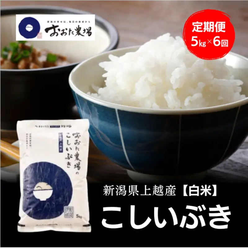 令和8年産 新潟県上越産 こしいぶき 定期便 5kg×6回 計30kg 【白米】 新米 おおた農場 上越市