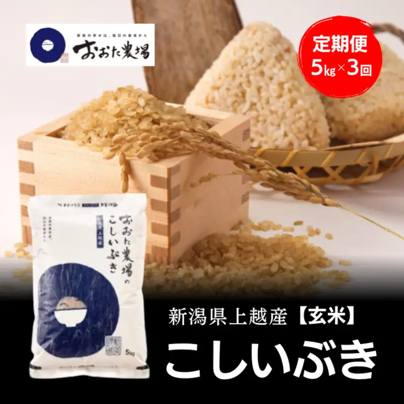 令和8年産 新潟県上越産 こしいぶき 定期便 5kg×3回 計15kg【玄米】 新米 おおた農場 上越市