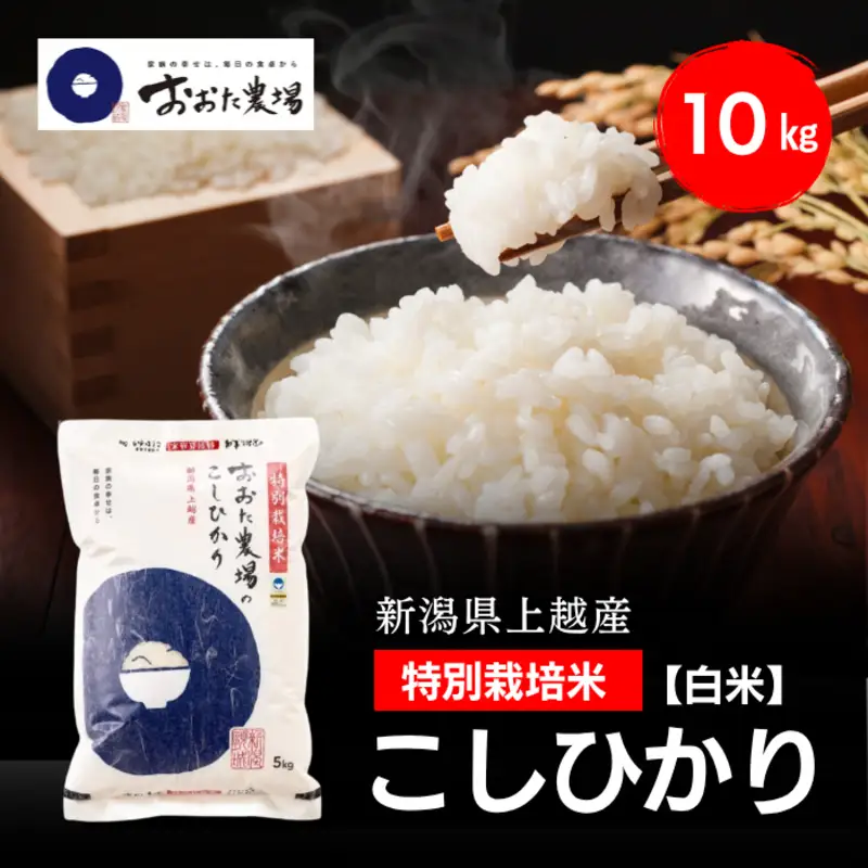 令和8年産 新潟県上越産 特別栽培米 コシヒカリ 10kg 10キロ（5kg×2） 【白米】 従来品種 こしひかり 新米 おおた農場 上越市