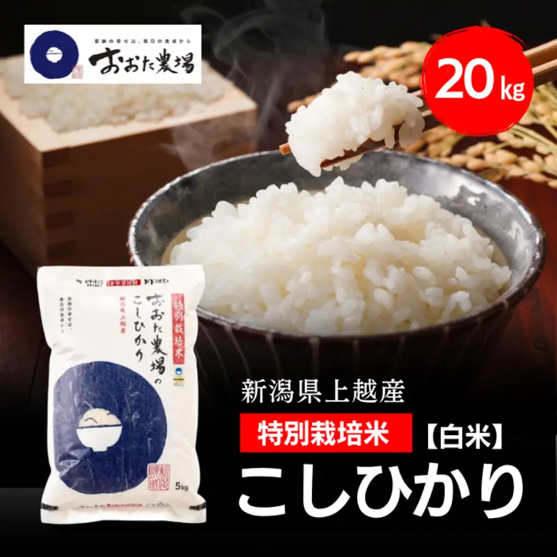 令和8年産 新潟県上越産 特別栽培米 コシヒカリ 20kg 20キロ（5kg×4） 【白米】 従来品種 こしひかり 新米 おおた農場 上越市
