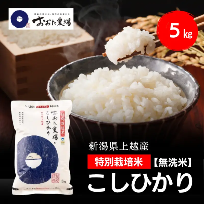 令和8年産 新潟県上越産 特別栽培米 コシヒカリ  5kg 5キロ 【無洗米】 従来品種 こしひかり 新米 おおた農場 上越市