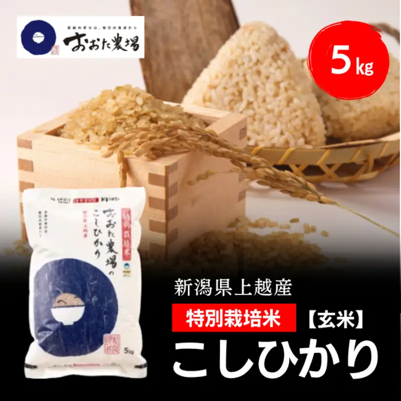  令和8年産 新潟県上越産 特別栽培米 コシヒカリ  5kg 5キロ 【玄米】 従来品種 こしひかり 新米 おおた農場 上越市