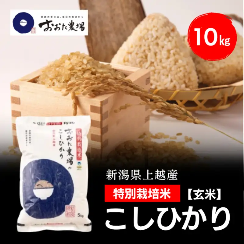 令和8年産 新潟県上越産 特別栽培米 コシヒカリ 10kg 10キロ（5kg×2） 【玄米】 従来品種 こしひかり 新米 おおた農場 上越市