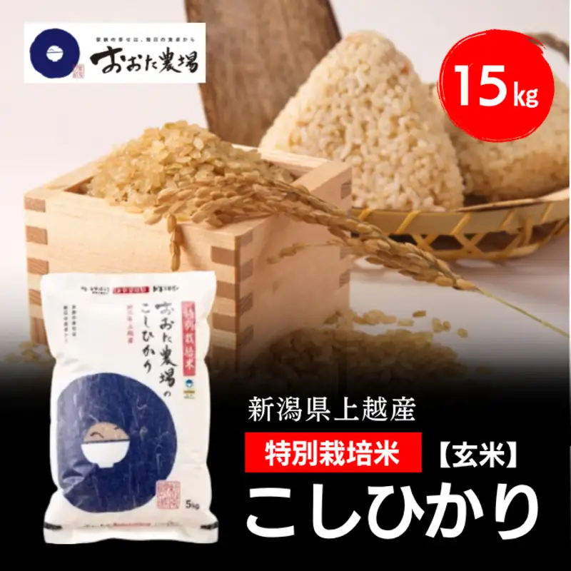 令和8年産 新潟県上越産 特別栽培米 コシヒカリ 15kg 15キロ（5kg×3） 【玄米】 従来品種 こしひかり 新米 おおた農場 上越市
