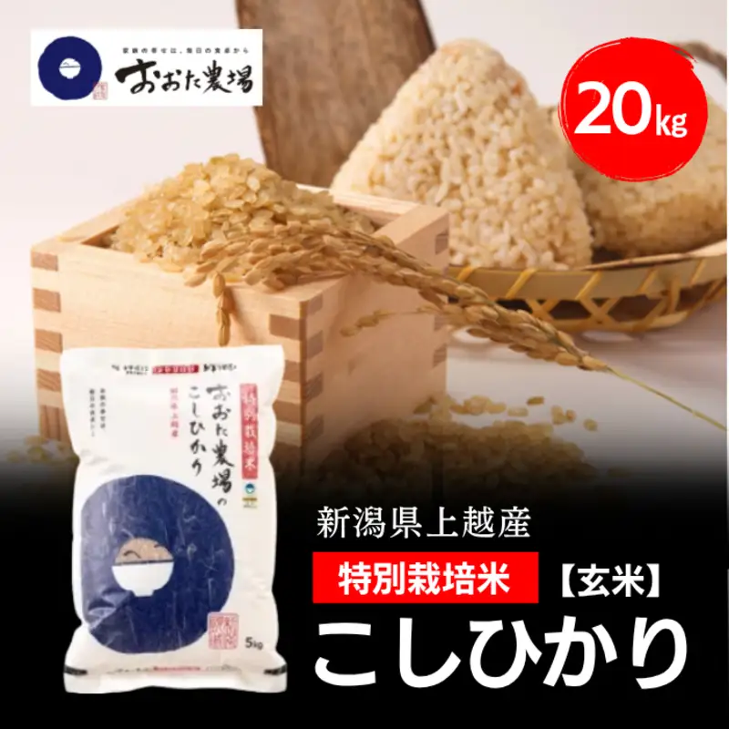 令和8年産 新潟県上越産 特別栽培米 コシヒカリ 20kg 20キロ（5kg×4） 【玄米】 従来品種 こしひかり 新米 おおた農場 上越市