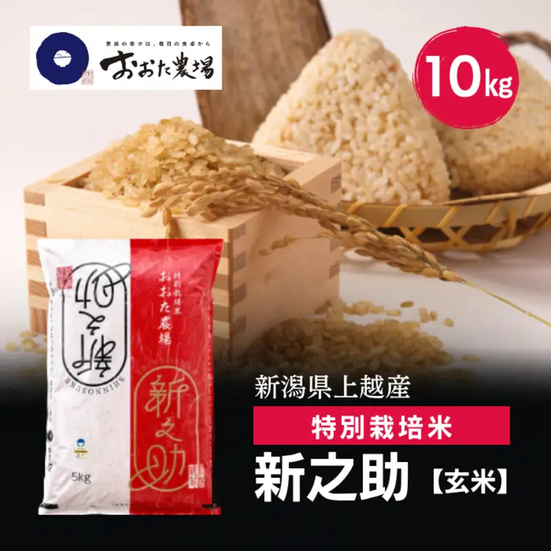 令和8年産 新潟県上越産 特別栽培米 新之助 10kg 10キロ（5kg×2） 【玄米】 新米 おおた農場 上越市
