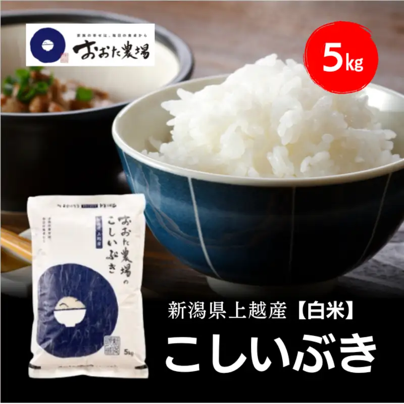 令和8年産 新潟県上越産 こしいぶき 5kg 5キロ【白米】 新米 おおた農場 上越市