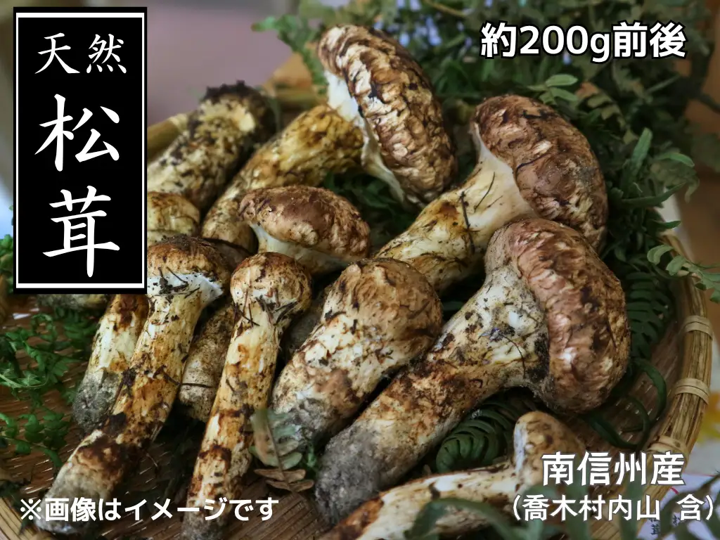 F10 松茸 約200g前後
