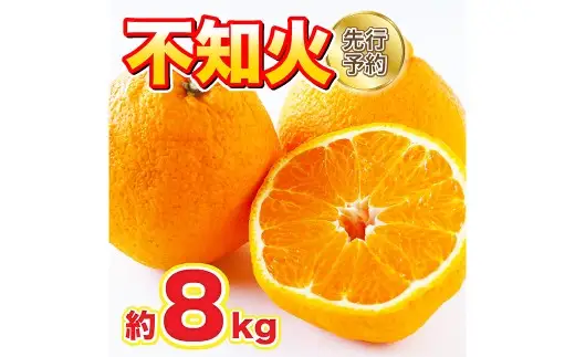 ＜ R8年熊本地震復興支援 ＞不知火 約8kg 18～20玉 【2027年2月下旬～4月上旬発送予定】