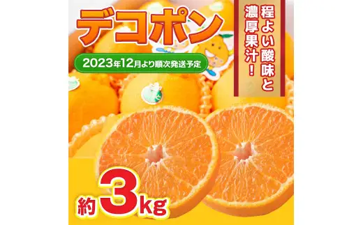 ＜ R8年熊本地震復興支援 ＞デコポン 約3kg 【2026年12月上旬～2027年2月下旬発送予定】