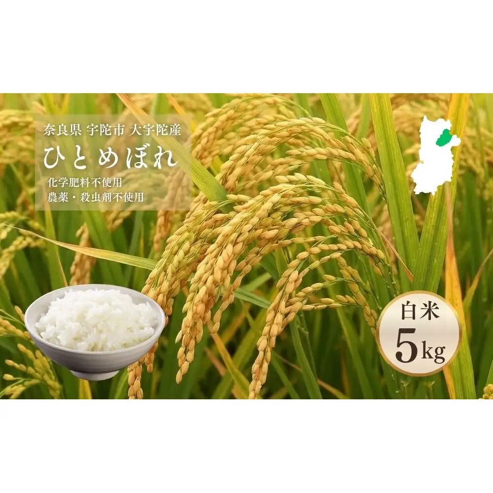 【令和8年産】大宇陀産 ひとめぼれ 白米 5kg / 宇陀市大宇陀産 米 こめ お米 お取り寄せ 美味しい おにぎり ごはん オススメ 精米済 奈良県 宇陀市 新米 白米 農薬 殺虫剤不使用 化学肥料不使用 米作垣内 ふるさと納税