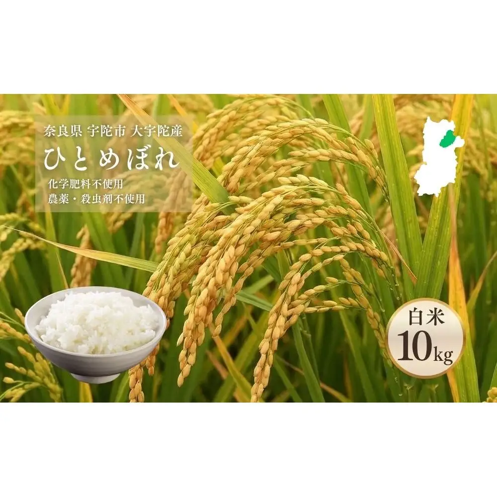 【令和8年産】大宇陀産 ひとめぼれ 白米 10kg / 宇陀市大宇陀産 米 こめ お米 お取り寄せ 美味しい おにぎり ごはん オススメ 精米済 奈良県 宇陀市 新米 白米 農薬 殺虫剤不使用 化学肥料不使用 米作垣内 ふるさと納税