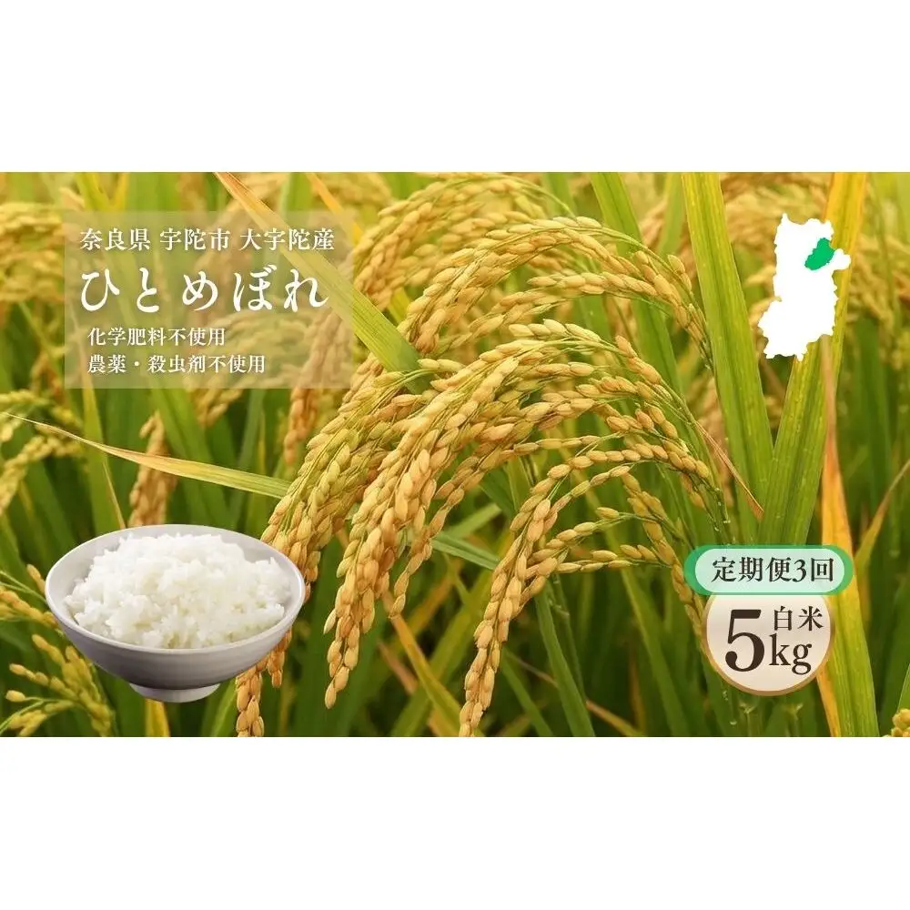 【令和8年産】【定期便3回】大宇陀産 ひとめぼれ 白米 5kg / 宇陀市大宇陀産 米 こzめ お米 お取り寄せ 美味しい おにぎり ごはん オススメ 精米済 奈良県 宇陀市 新米 白米 農薬 殺虫剤不使用 化学肥料不使用 米作垣内 ふるさと納税
