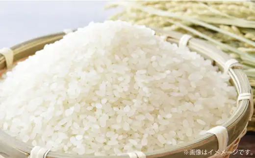 【令和8年産】 特別栽培米ヒノヒカリ （精米） 20kg 予約 新米 ヒノヒカリ 精米 井上農園 米 お米 白米 【2026年10月上旬～12月下旬迄発送予定】