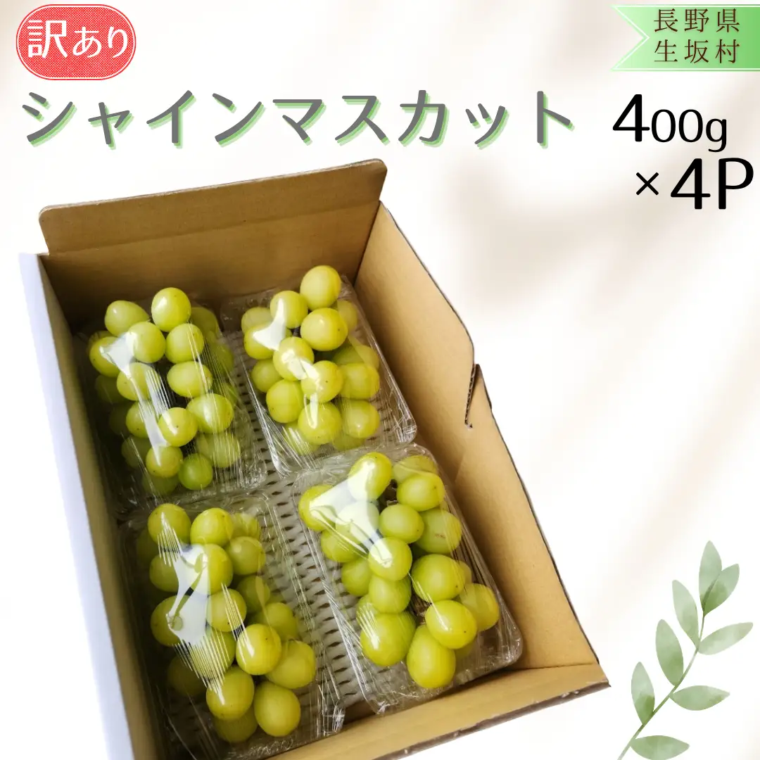 訳あり シャインマスカット（400g×4パック） | シャインマスカット