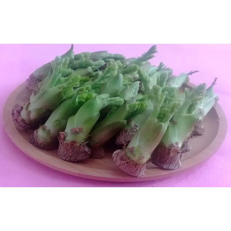 春を先どり　果汁たっぷりジューシーなタラの芽　250g