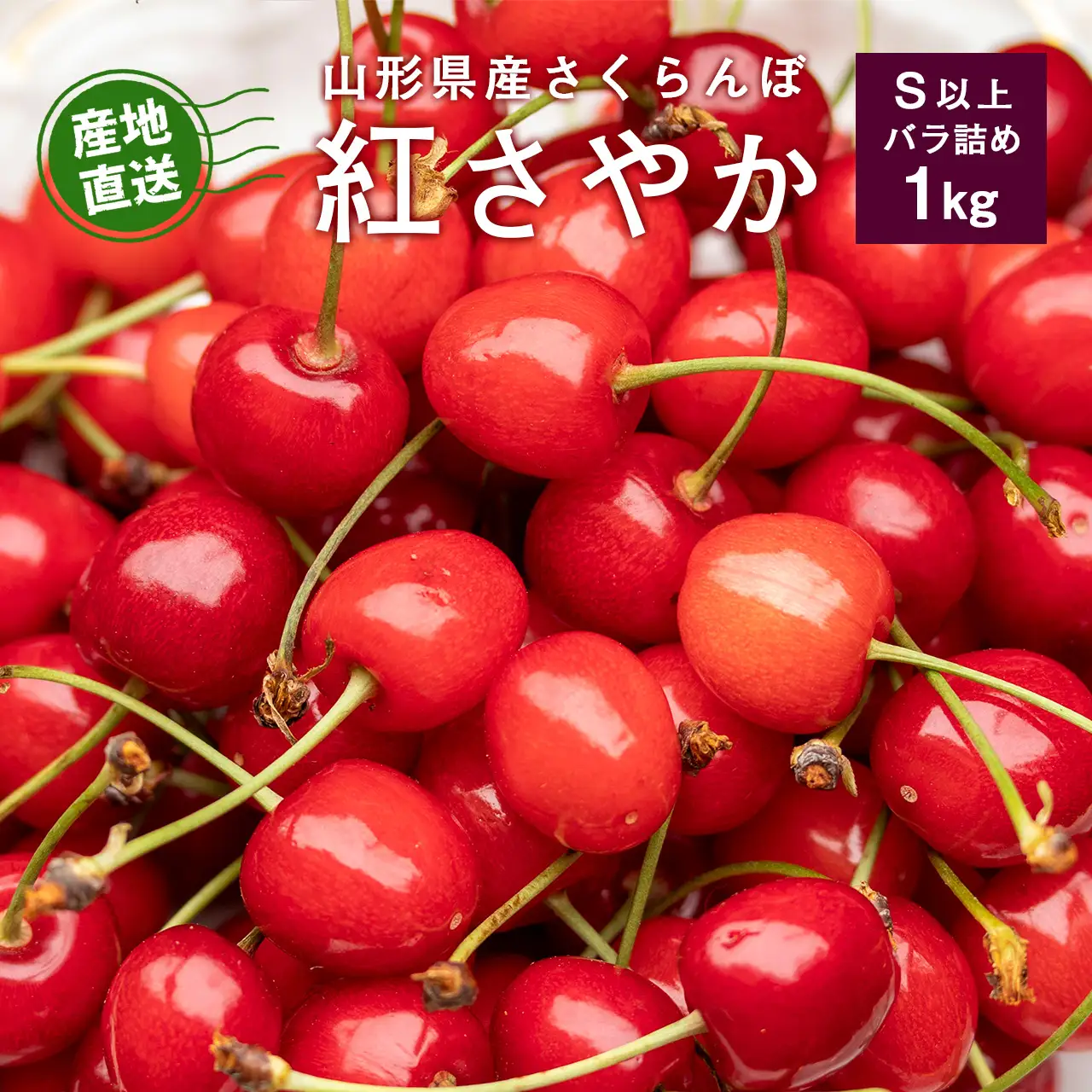 《先行予約》 令和9年産 訳あり さくらんぼ 紅さやか バラパック 1kg（パック含む）Sサイズ以上 秀品 【2027年5月下旬頃から6月上旬頃発送予定】山形県産 ※ 配送不可 沖縄・離島　012-A-JF041