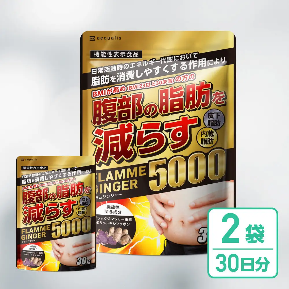 脂肪を消費しやすくする ブラックジンジャー サプリメント フラムジンジャー 機能性表示食品 2袋 ダイエット カプサイシン カテキン L-カルニチン BCAA BMI 脂肪 内臓脂肪 体重 ウエスト