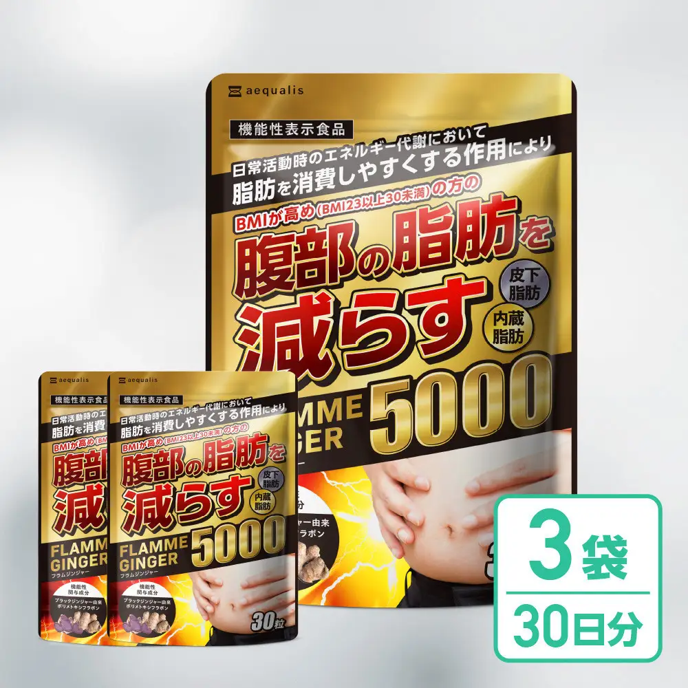 脂肪を消費しやすくする ブラックジンジャー サプリメント フラムジンジャー 機能性表示食品 3袋 ダイエット カプサイシン カテキン L-カルニチン BCAA BMI 脂肪 内臓脂肪 体重 ウエスト