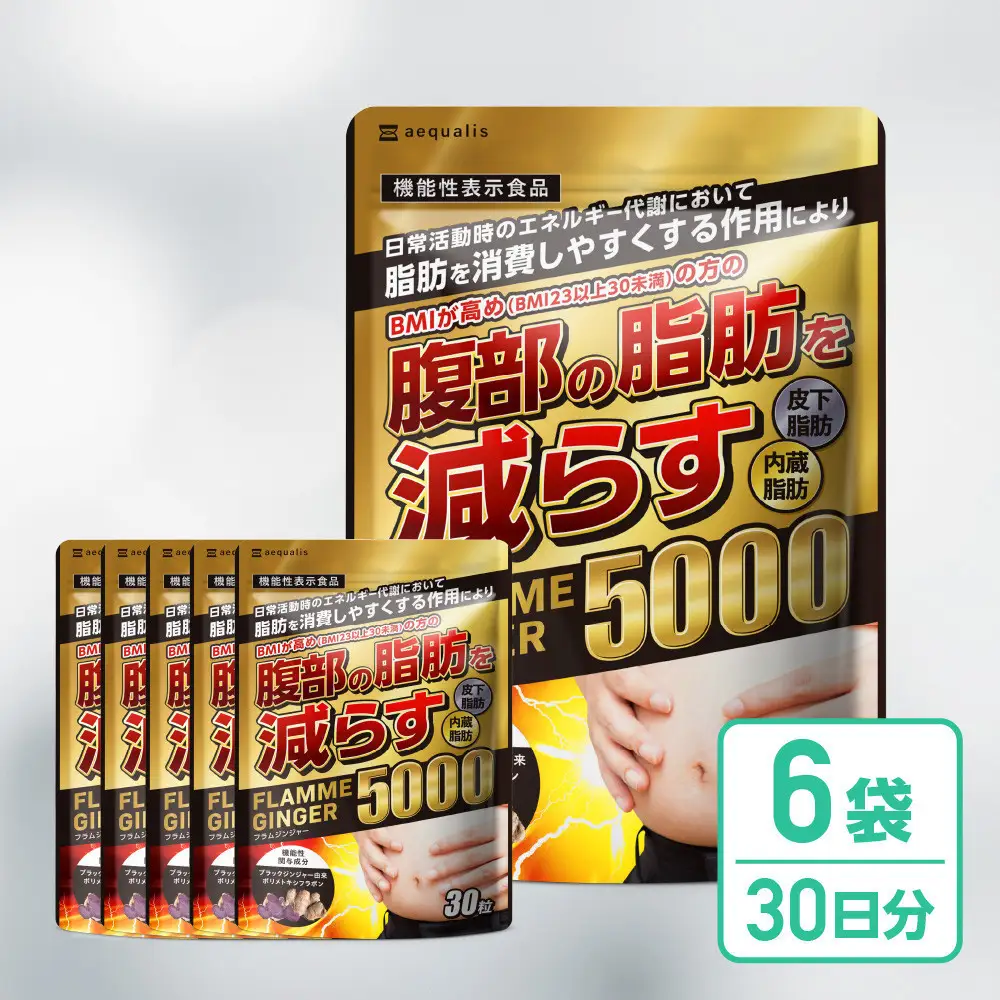 脂肪を消費しやすくする ブラックジンジャー サプリメント フラムジンジャー 機能性表示食品 6袋 ダイエット カプサイシン カテキン L-カルニチン BCAA BMI 脂肪 内臓脂肪 体重 ウエスト