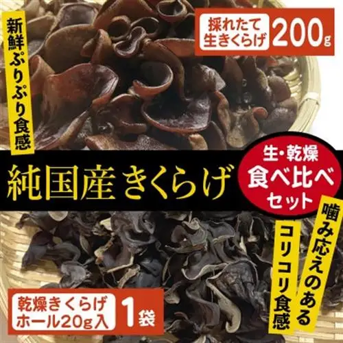 純国産きくらげ　生・乾燥セット【配送不可地域：離島】【1777830】