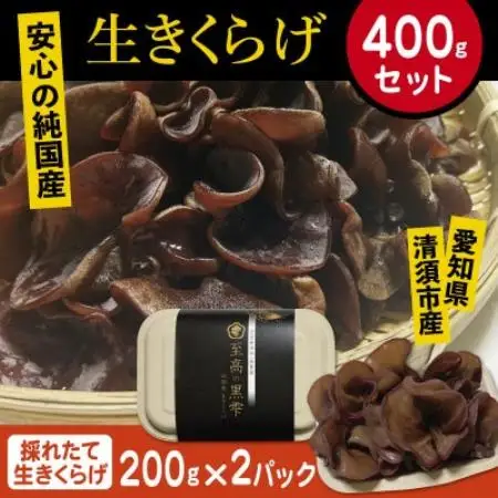 純国産　新鮮生きくらげ【配送不可地域：離島】【1777836】