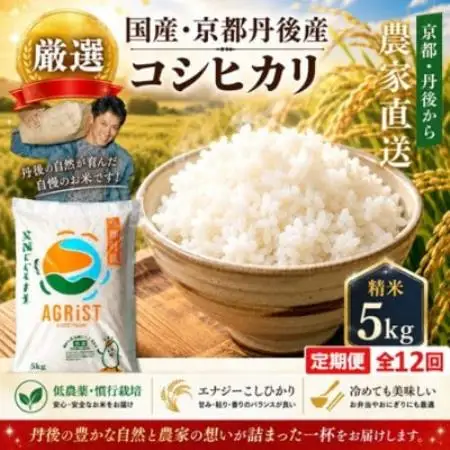 【毎月定期便】京都与謝野町産エナジーこしひかり精米5kg　農家直送全12回【4092866】