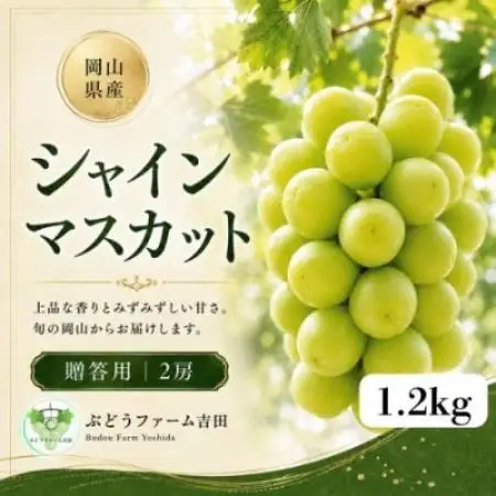 【2027年発送】岡山県産シャインマスカット贈答用　計1.2kg(2房)【配送不可地域：離島】【1780427】