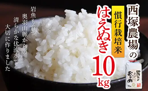 【令和8年産】慣行栽培米 はえぬき 白米 10kg×1袋