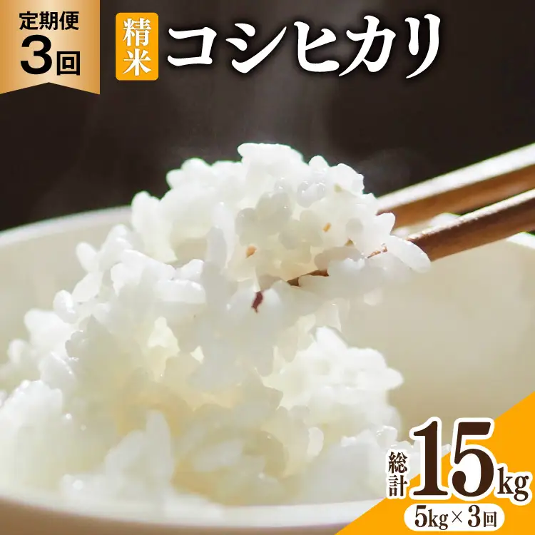 米 3回定期便 コシヒカリ 精米 5kg