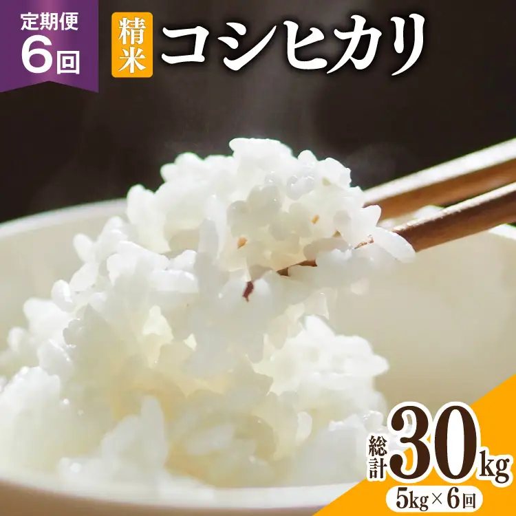 米 6回定期便 コシヒカリ 精米 5kg