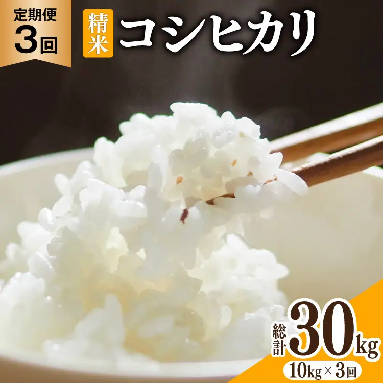 米 3回定期便 コシヒカリ 精米 10kg