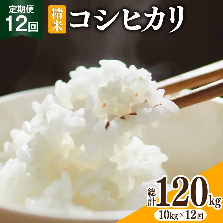 米 12回定期便 コシヒカリ 精米 10kg