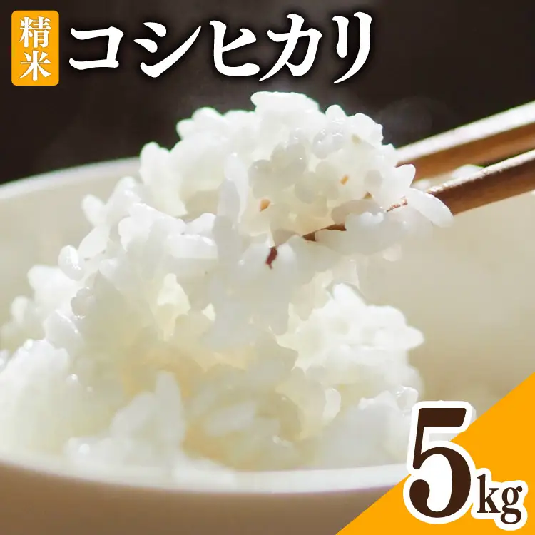 米 令和8年 富山県産 コシヒカリ 精米 5kg×1袋