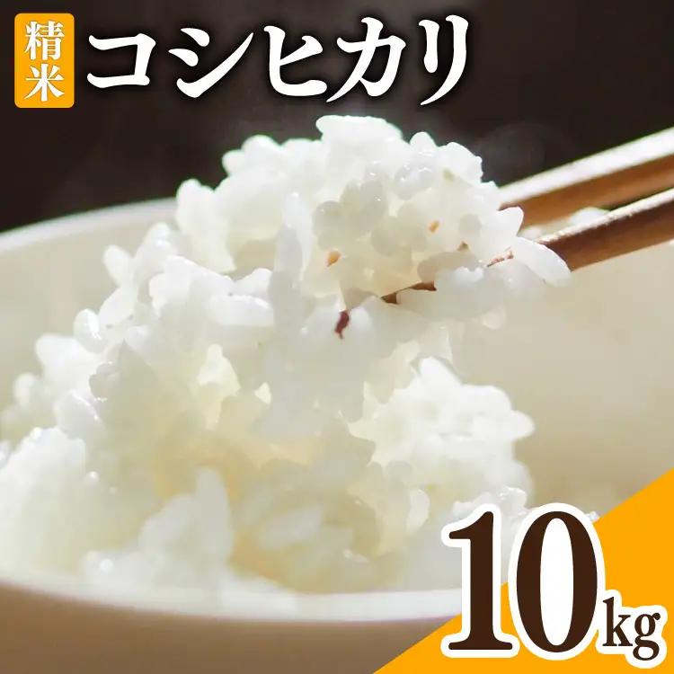 米 令和8年 富山県産 コシヒカリ 精米 10kg×1袋