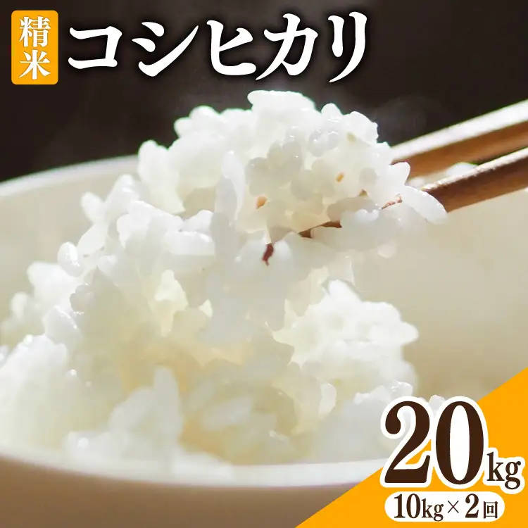 米 令和8年 富山県産 コシヒカリ 精米 20kg (10kg×2袋)