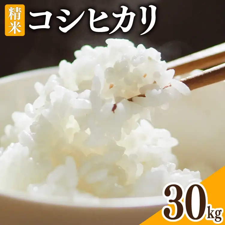 米 令和8年 富山県産 コシヒカリ 精米 30kg ×1袋