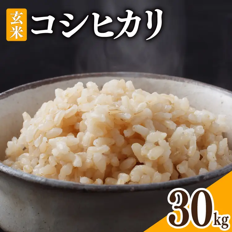 米 令和8年 富山県産 コシヒカリ 玄米 30kg ×1袋